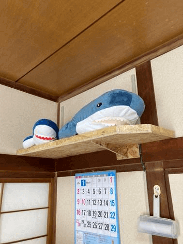 𠮷原大海宅のクッション置き場写真