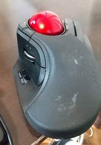 cqbq̃gbN{[}EX̎ʐ^